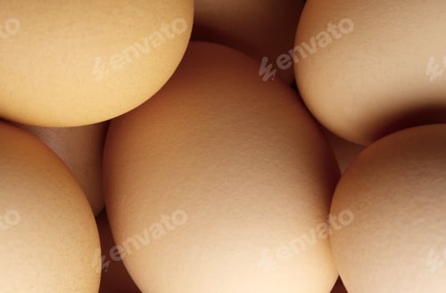 Preview: Close Up View of a Group of Eggs