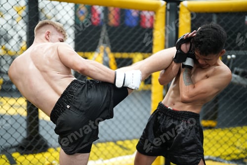 Preview: MMA Fighter Training