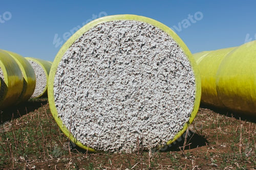 Preview: Harvested cotton bales wrapped in yellow plastic vinyl