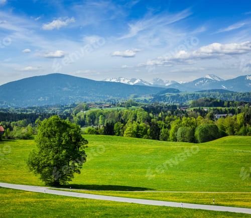 Preview: Road in pastoral countryside