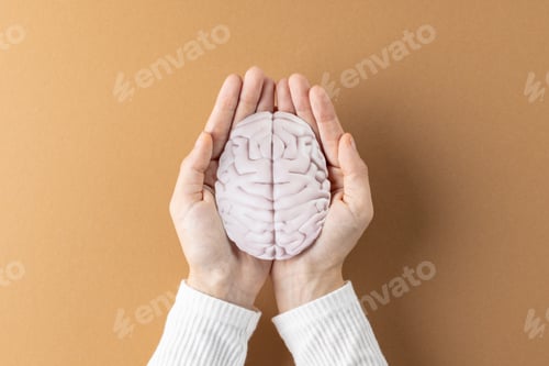 Preview: Composition of hands holding brain on brown background with copy space