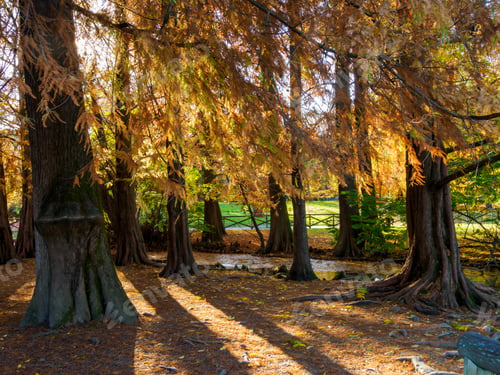Preview: Autumn at Parco Sempione, Milan