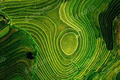 Preview: Aerial View of Lush Green Rice Terraces: Natural Beauty and Curves