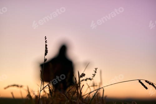 Preview: silhouette of unidentified blurred person under blue sky at sunset near plants