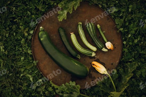 Vista previa: Zucchini, different in color and shape, on dish against the background of green grass