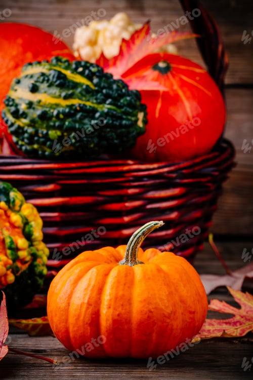 Preview: Colorful pumpkins and fall leaves on wooden background