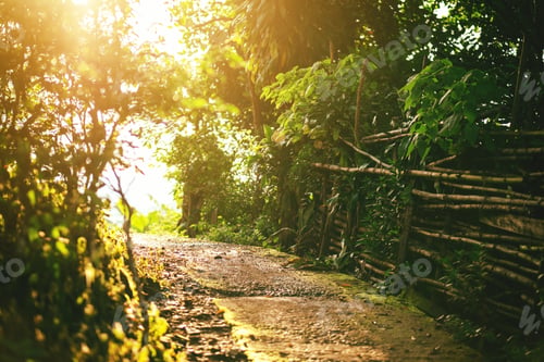 Preview: Sunset on rural road in countryside