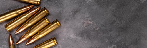 Preview: Bullets on gray background banner