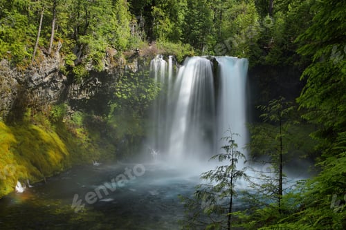 Preview: Koosah Falls in Mc kenzie pass, Oregon.