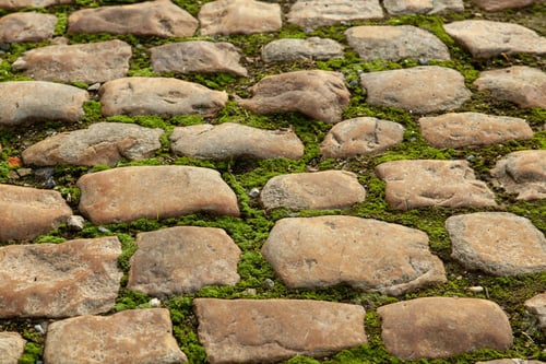 Preview: Mossy ground in the middle of a cobblestone pathway