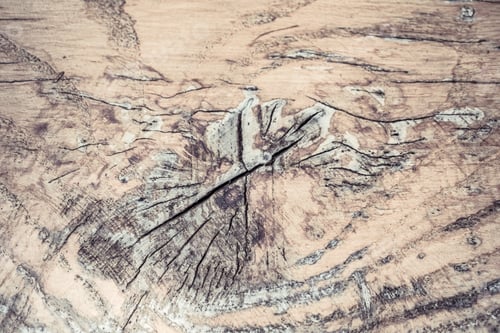 Preview: Brown wood texture. Abstract background, empty template