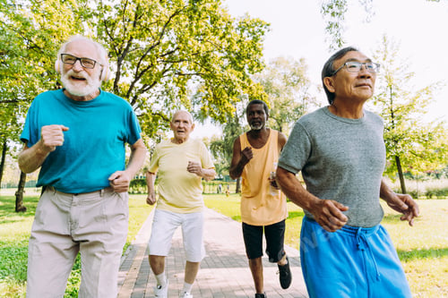 Preview: group of senior friends training at the park