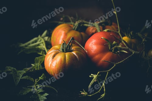 Preview: Mix colorful tomatoes