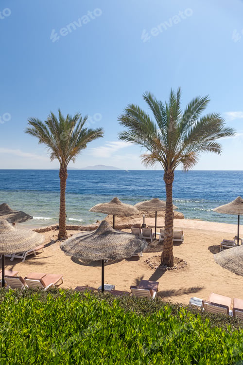 Preview: The Beach At The Luxury Hotel, Sharm El Sheikh, Egypt