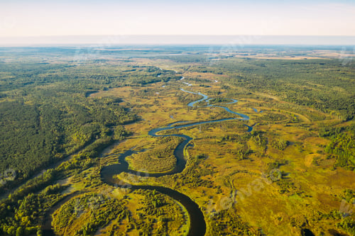 Preview: Aerial View Green Forest Woods And River Landscape In Sunny Summer Day. Top View Of Beautiful