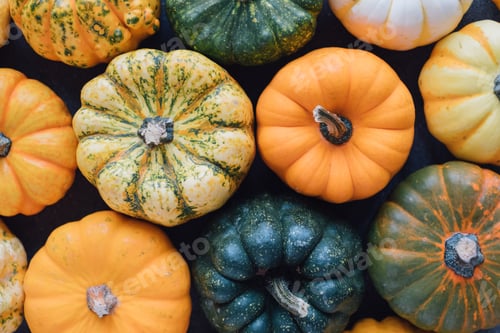 Preview: Colorful pumpkins.
