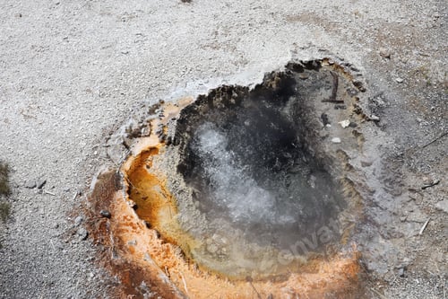 Preview: Geyser on the Upper Geyser Hill Trail in the Yellowstone National Park, Wyoming State, USA