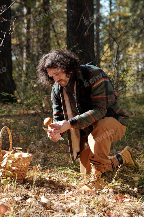 Preview: Young man standing on knee on the ground covered with dry leaves
