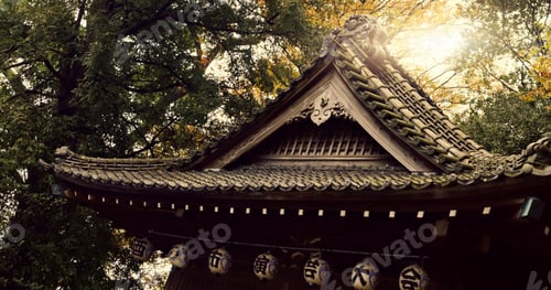 Preview: Japanese, temple and building for praise religion or worship, peace or mindfulness practice. Archit
