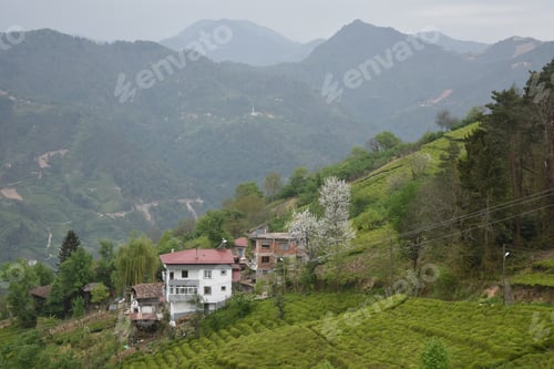 Preview: Natural view of houses on the sloppy hill with a mountainous landscape background
