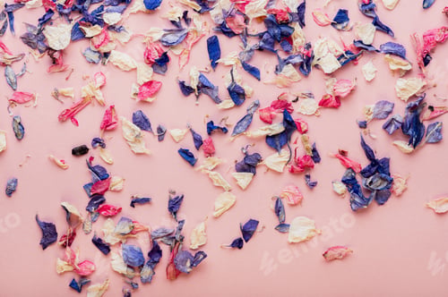 Preview: Biodegradable confetti from real dried flowers