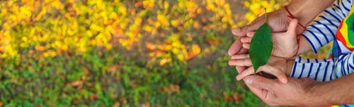 Preview: children and parents hold a piece of leaf in their hands. Selective focus.
