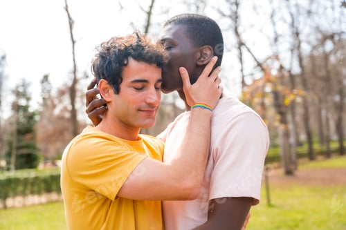 Preview: Smiling young gay couple embrace in a lush green park setting