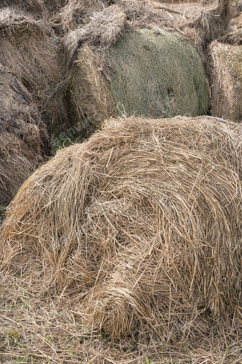 Preview: Decomposing bales of hay, selective focus.