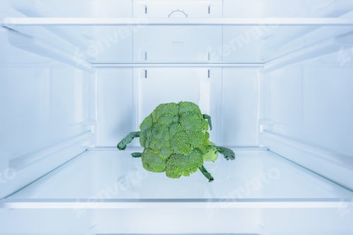 Preview: one ripe tasty broccoli in fridge