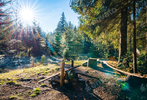Preview: Beautiful forest clearing for hiking in the unusual hills of the Carpathians