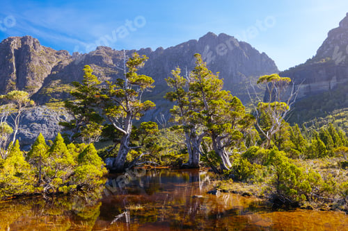 Preview: Artist's Pool in Tasmania Australia