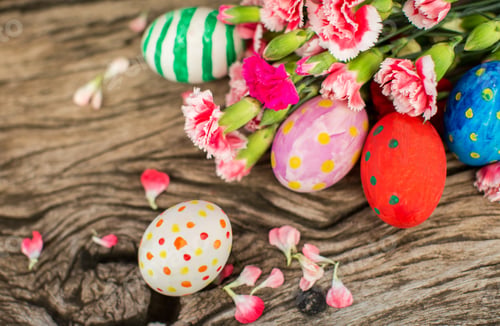 Preview: Colorful easter eggs and branch with flowers