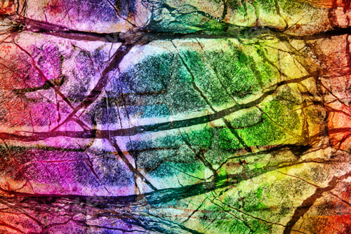 Preview: Color Grunge Texture And Background