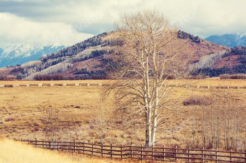 Preview: Autumn in Colorado