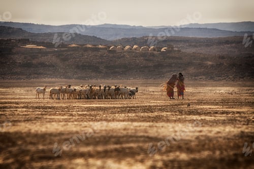 Preview: Shepherd guiding a flock of sheep across the arid landscape at dusk