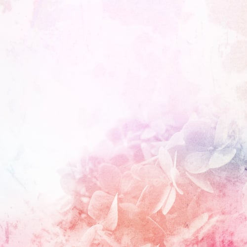 Preview: Colorful Flowers In Soft And Blur Style On Mulberry Paper Texture For Background