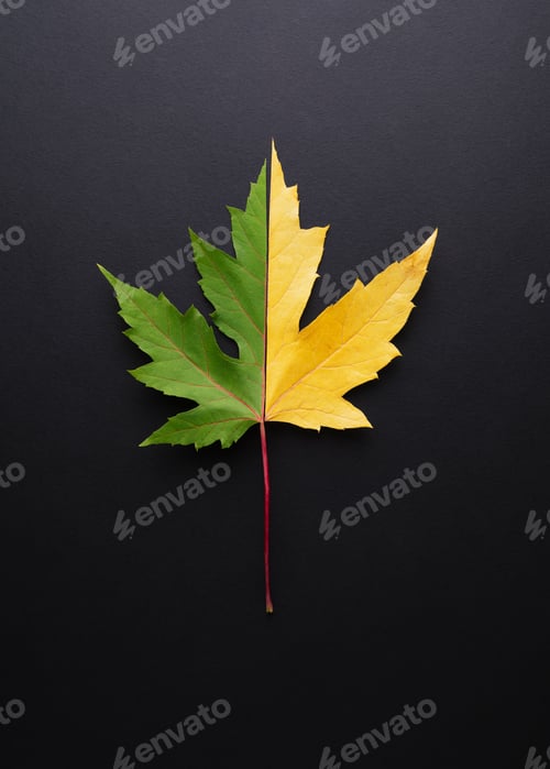 Preview: Change of seasons and beginning of autumn