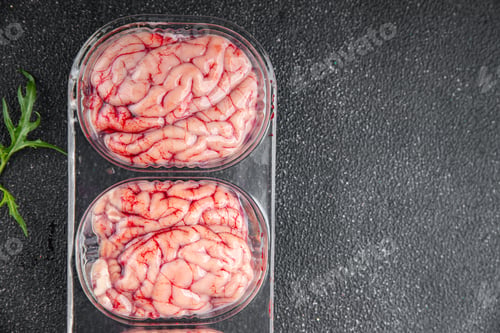 Preview: pork brains raw edible offal meat fresh food tasty fresh healthy eating cooking appetizer meal food