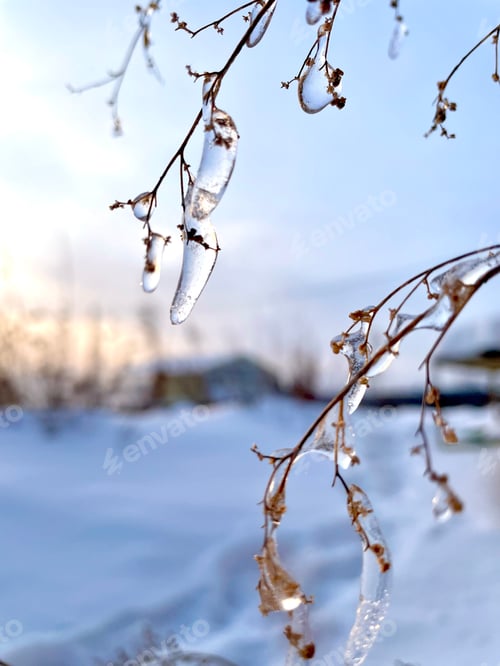 Preview: beautiful icicles on a sunny winter day glisten in the sun