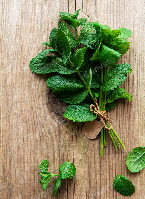 Preview: Fresh mint leaves