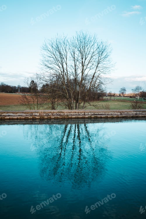 Preview: Tree and sky reflection in water