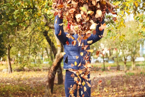 Preview: autumn people. Teen girl raising hand and throwing leaves. Many flying orange, yellow, green dry lea