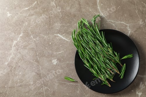 Preview: Plate with rosemary on grey table, top view