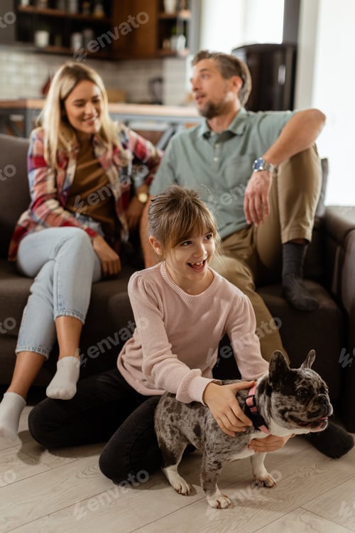 Preview: Family bonding time with playful french bulldog pup in cozy living room