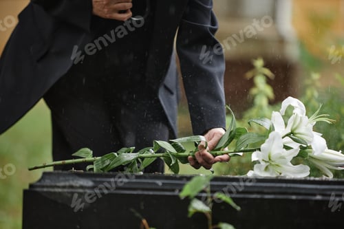 Preview: Hand of Woman Laying White Lilies on Gravestone under Rain at Cemetery
