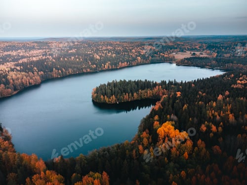 Preview: Shot of small lake surrounded by fall forest