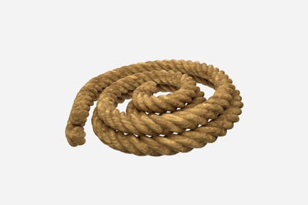 Preview: Rope Eco 3D Illustration