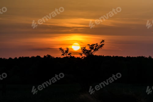 Preview: Sunset