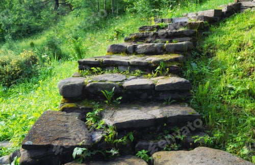 Preview: Stairs and grass in the garden. Design composition