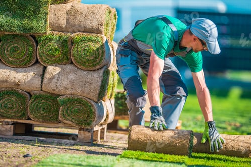 Preview: Natural Grass Turf Installer